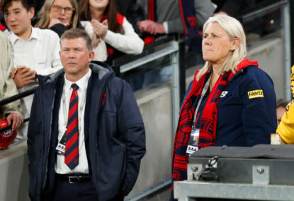 Demons' CEO quits as leadership turmoil escalates