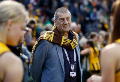 'She is only about controversy': Kennett lashes Caroline Wilson over claim Ginnivan comment cost Hawks semi final