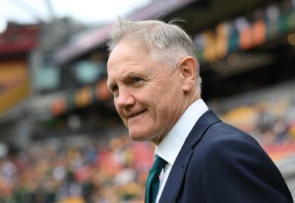 Why the Autumn Nations Series is massive for Joe Schmidt's brains trust