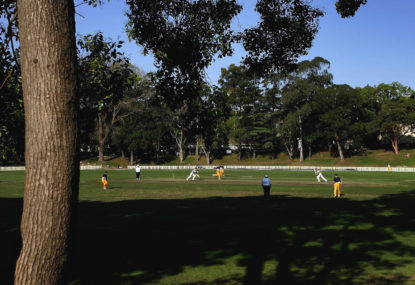The disconnect tugging at Sydney cricket's grassroots