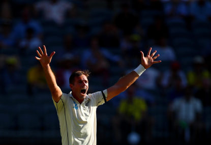 'The time feels right': Black Caps great announces Test retirement... unless Kwis can make WTC final