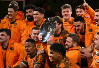 All hail Joe Schmidt - why it's time to be positive about the Wallabies again